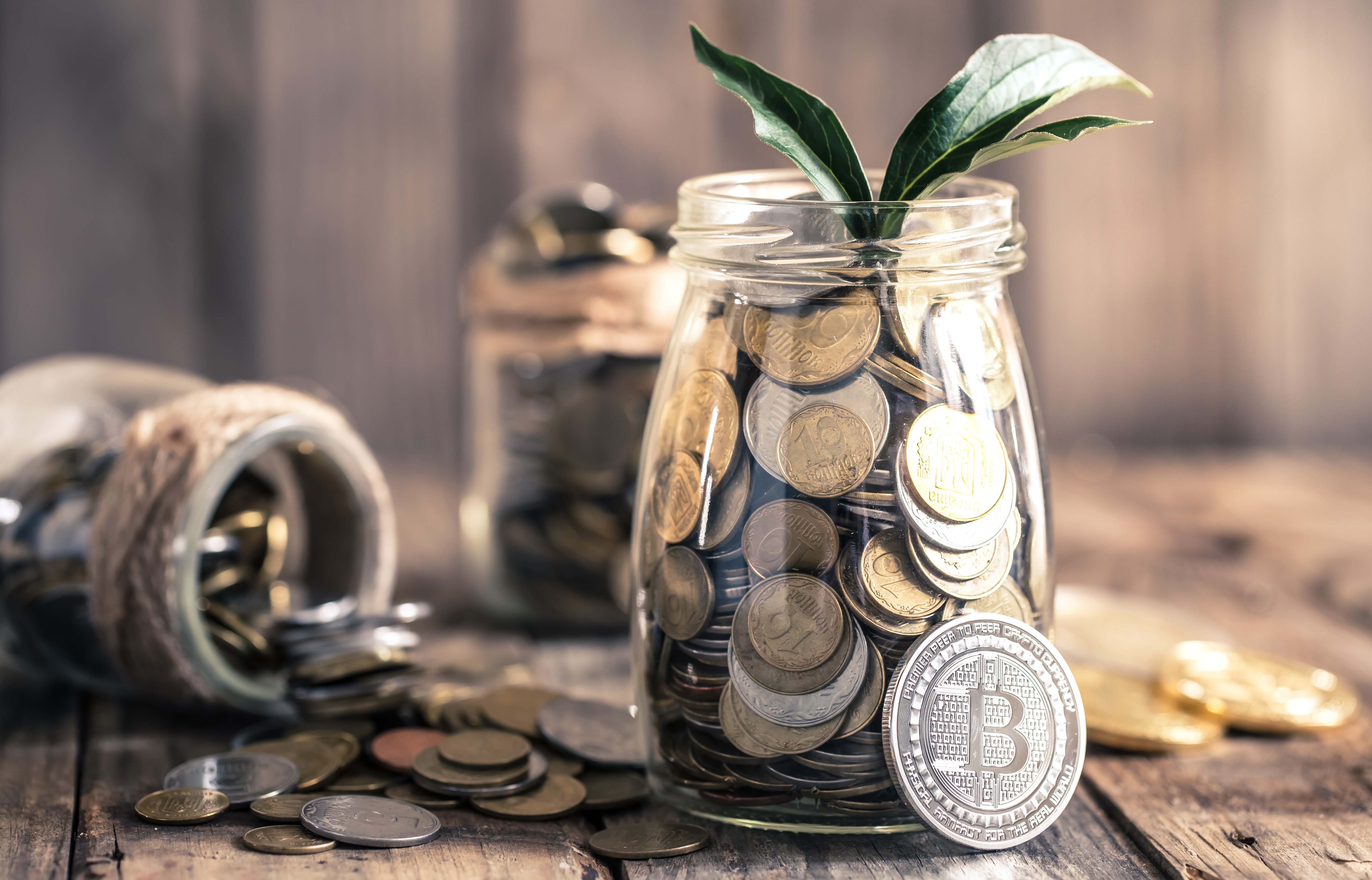 Large And Mid Cap Fund